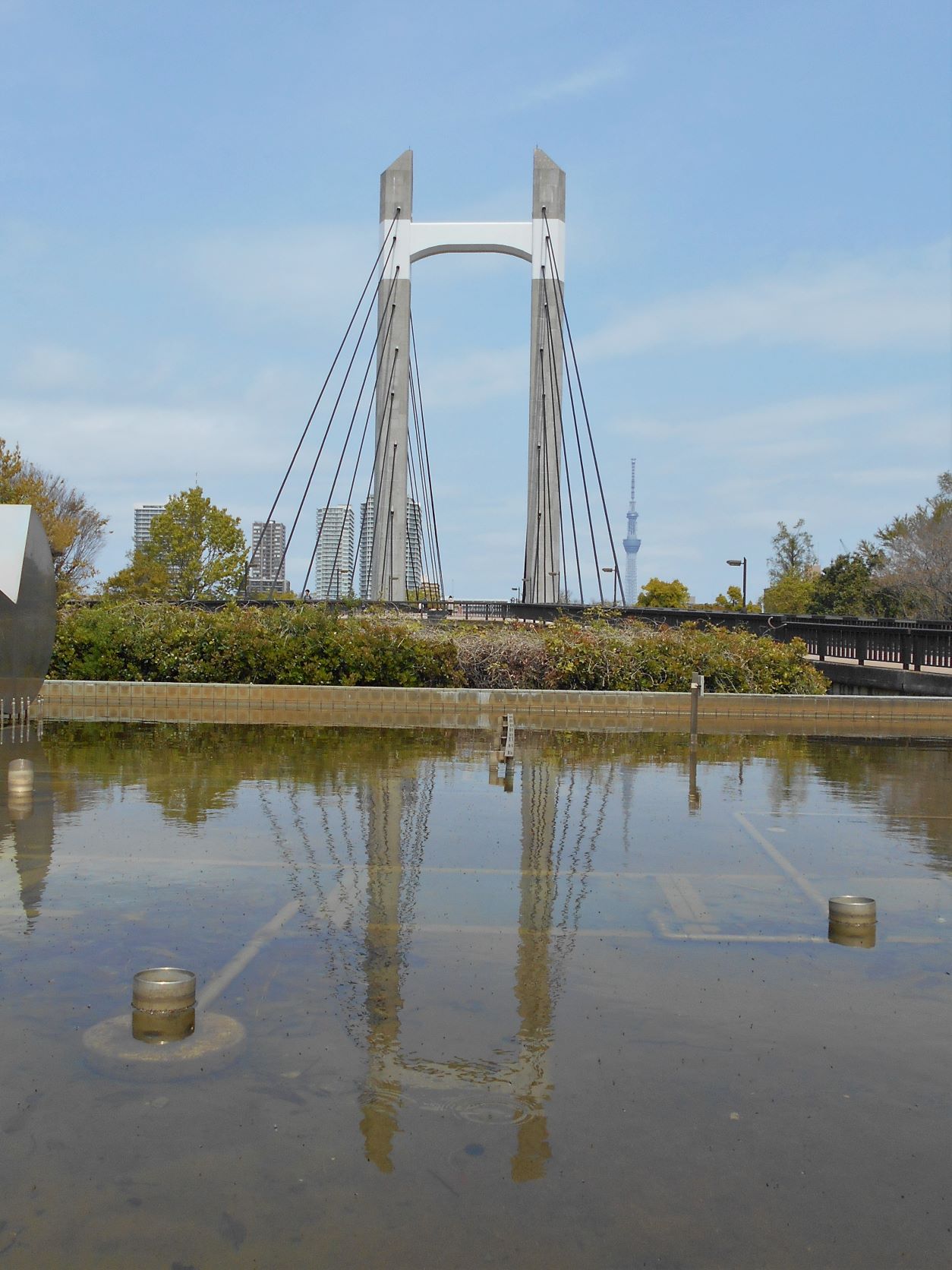 木場公園大橋の画像。